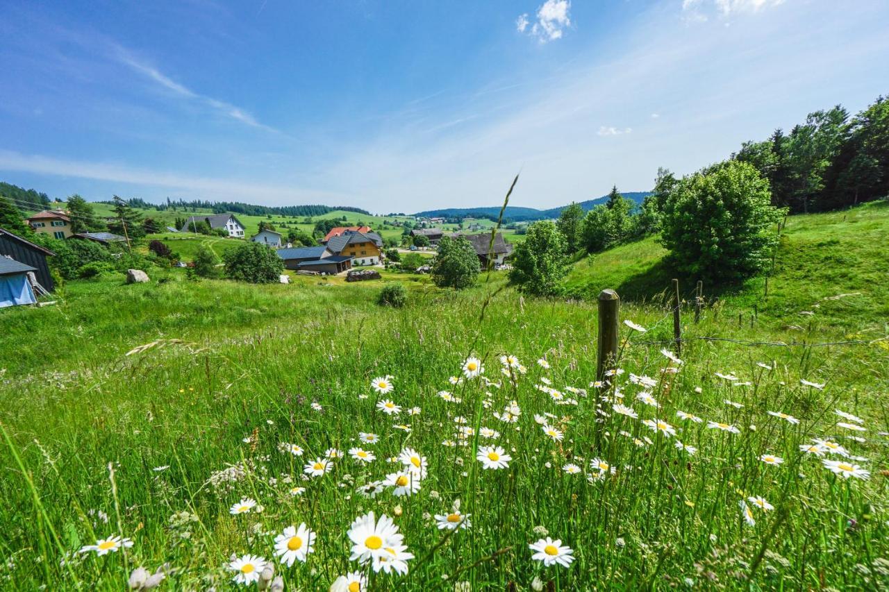 Hubertus Lodge Ibach Экстерьер фото